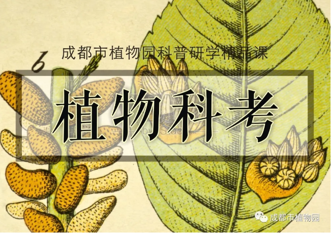 成植植物科考系列夏令营招募